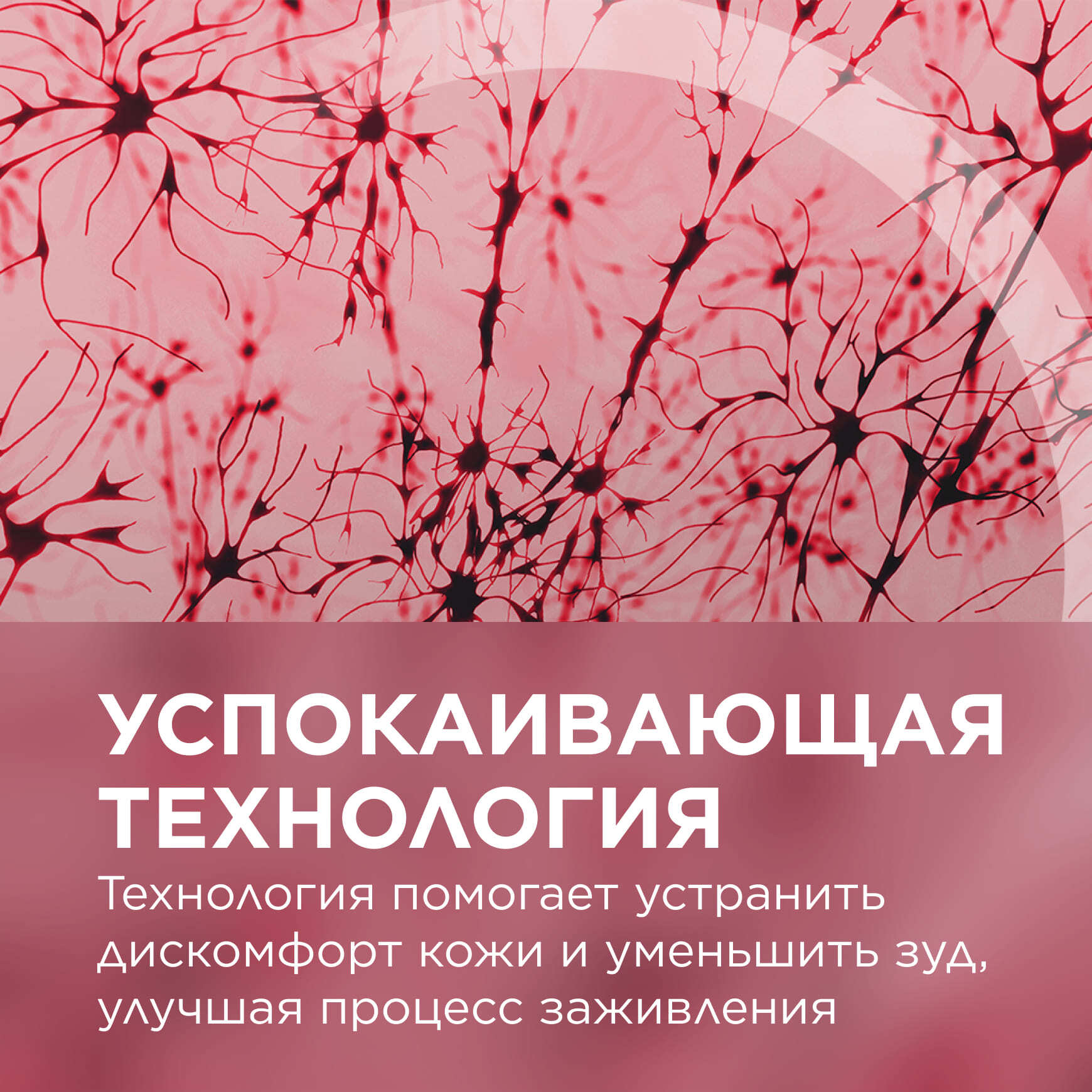 Cicabio Восстанавливающий и успокаивающий крем плюс BIODERMA Способствует естественному заживлению кожи миниатюра 5