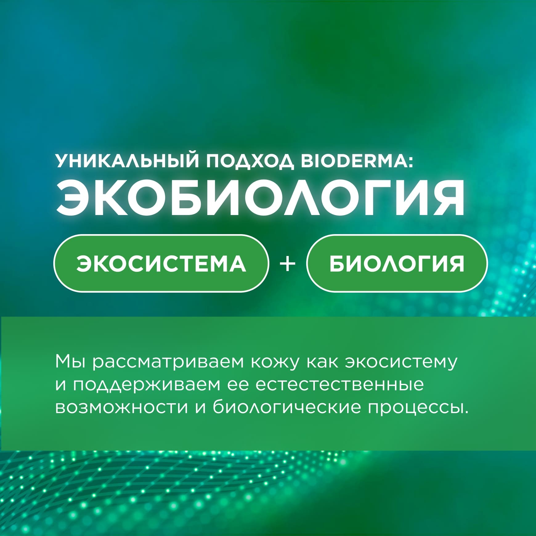 Nodé К шампунь BIODERMA Бессульфатный мягкий шампунь на каждый день миниатюра 5