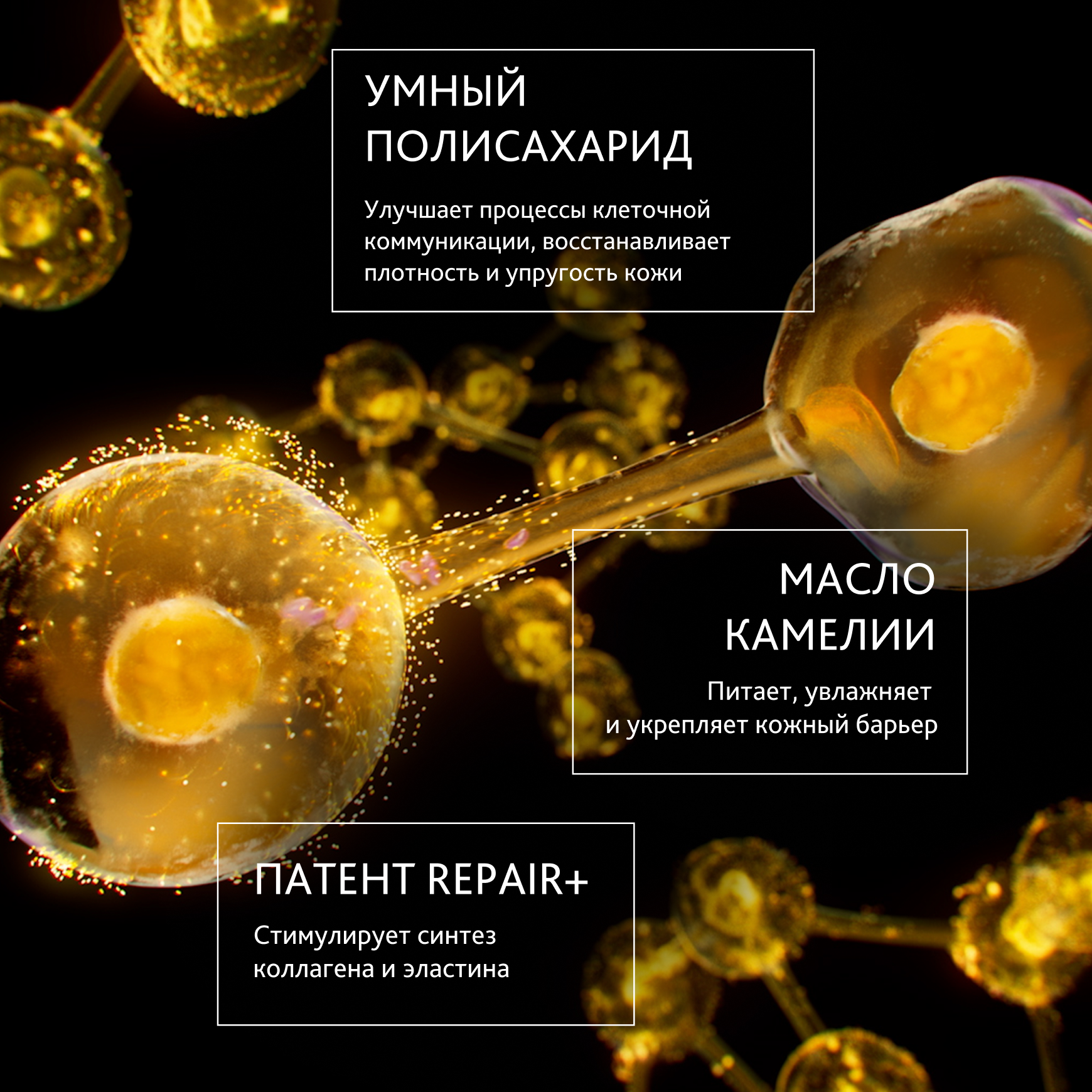 Excellage Крем для контура глаз Institut Esthederm Уменьшает отечность, сокращает морщины миниатюра 2
