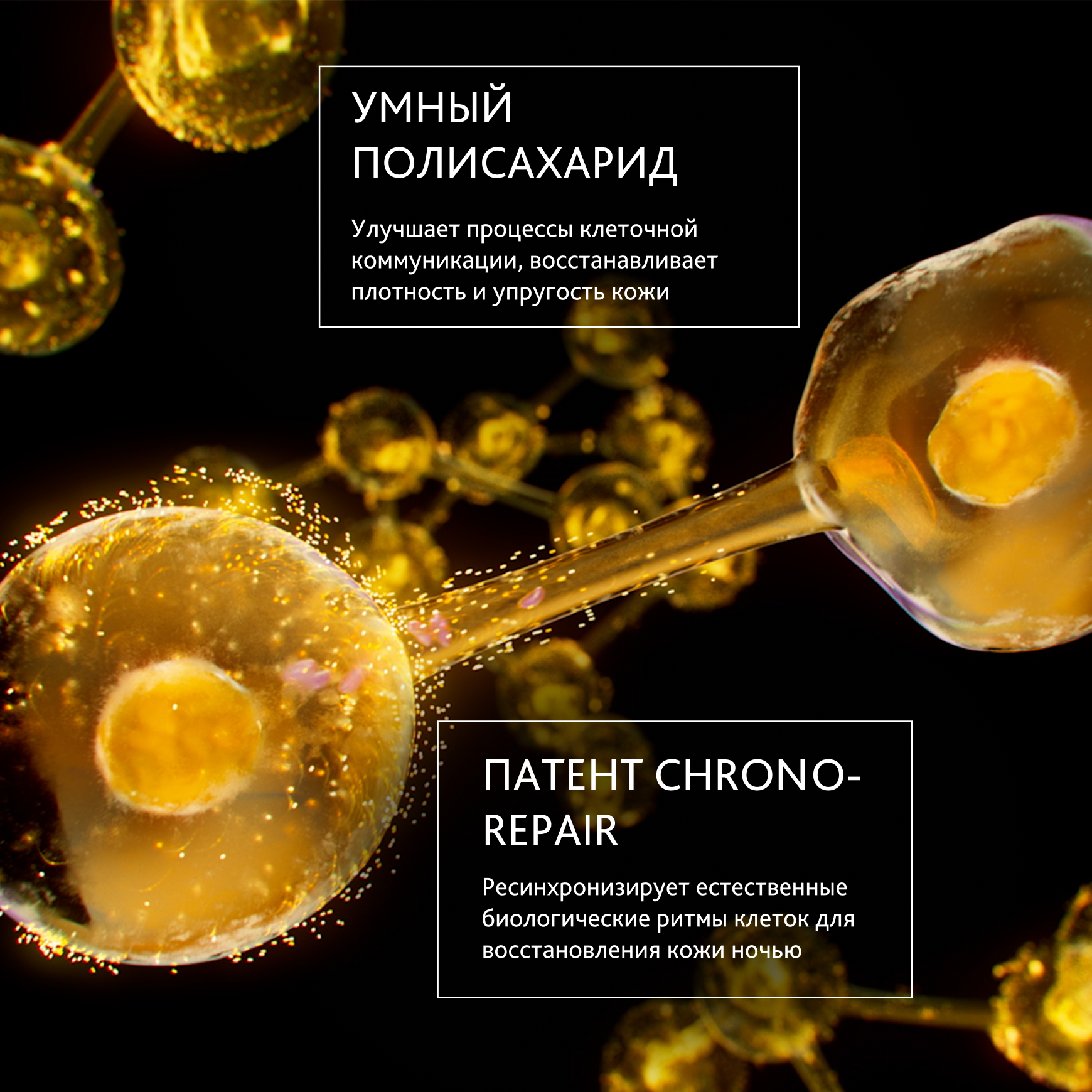 Excellage Восстанавливающее ночное масло Institut Esthederm Повышение упругости и плотности кожи миниатюра 2
