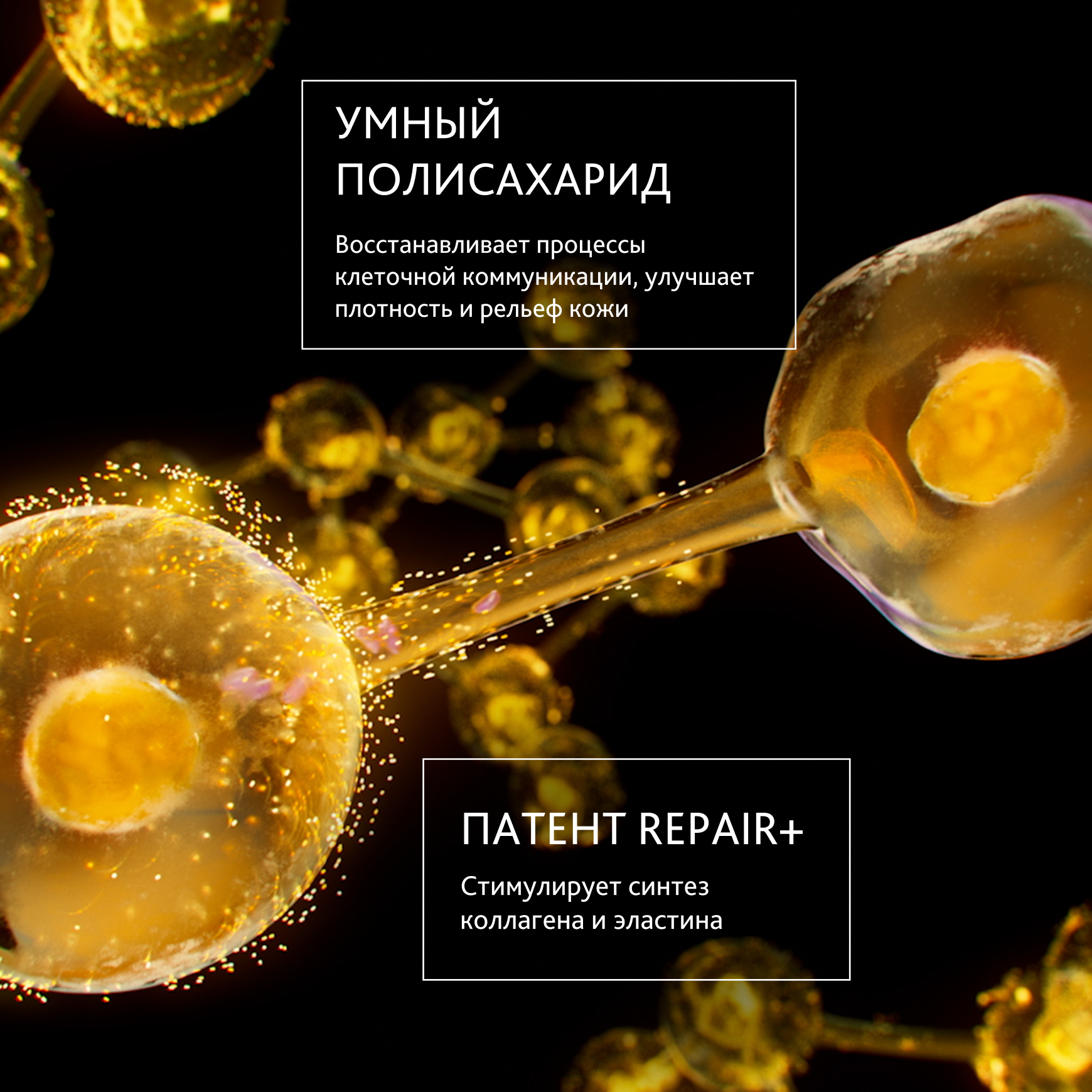 Excellage Крем для лица, шеи и декольте Institut Esthederm Восстанавливает силу и упругость кожи миниатюра 2