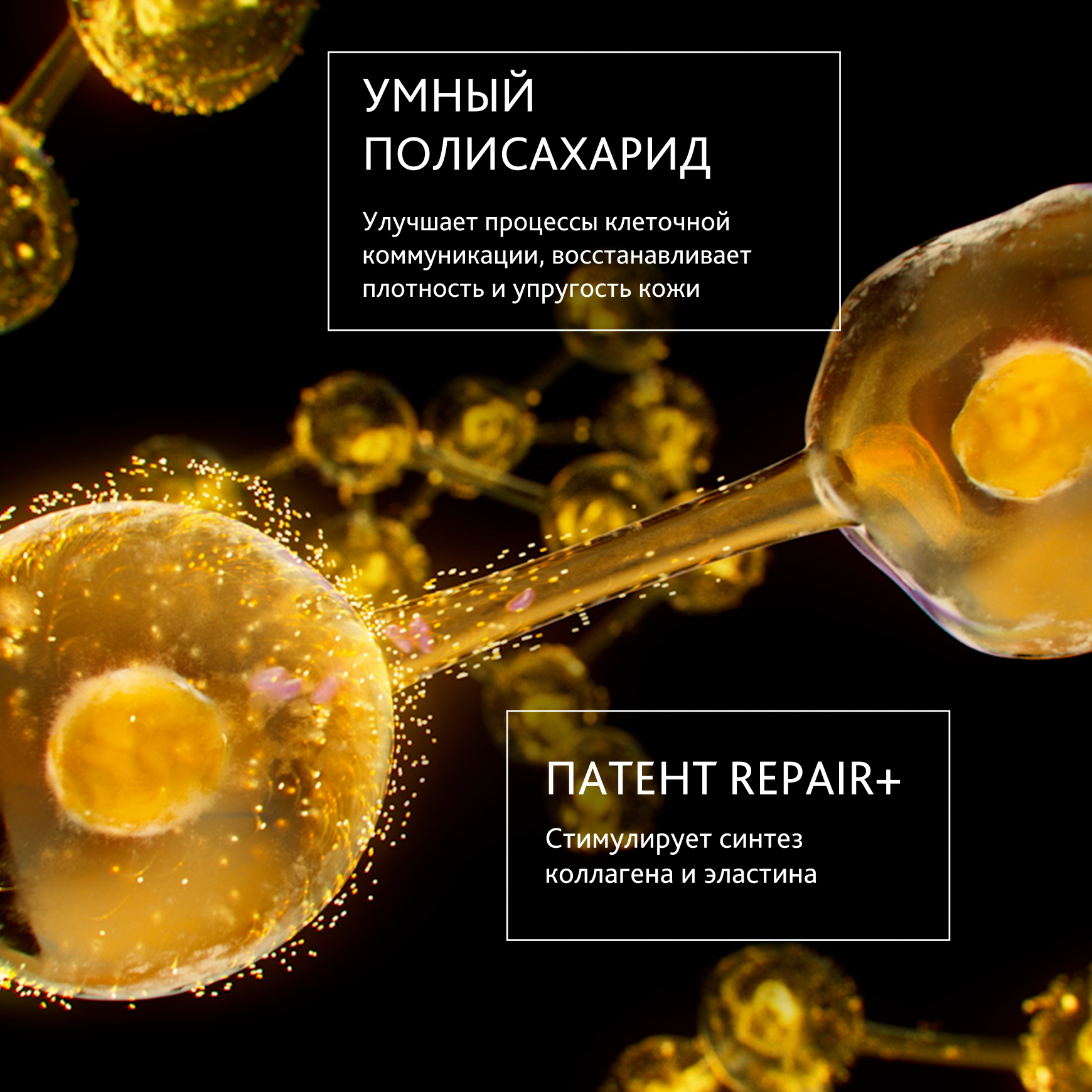 Excellage NT Сыворотка для лица, шеи и декольте Institut Esthederm Возвращение плотности и сияния зрелой коже миниатюра 2