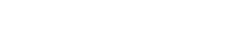 Logo footer